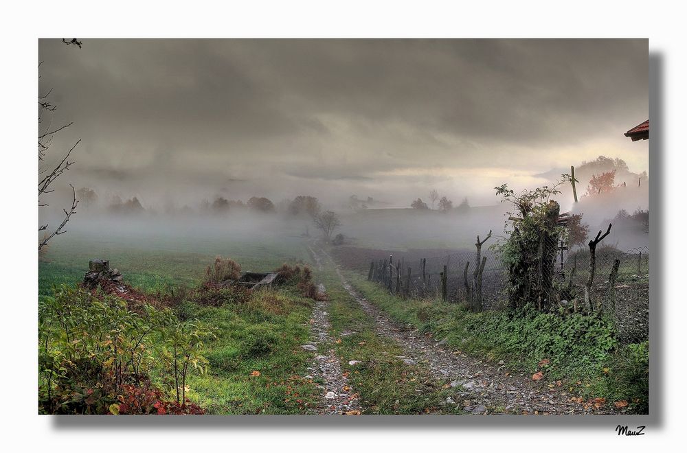 .. La nebbia agli irti colli....