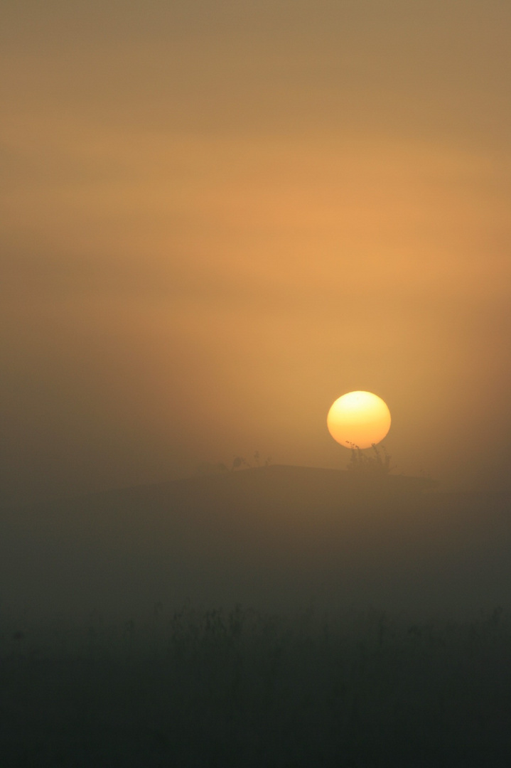 La nebbia al mattino