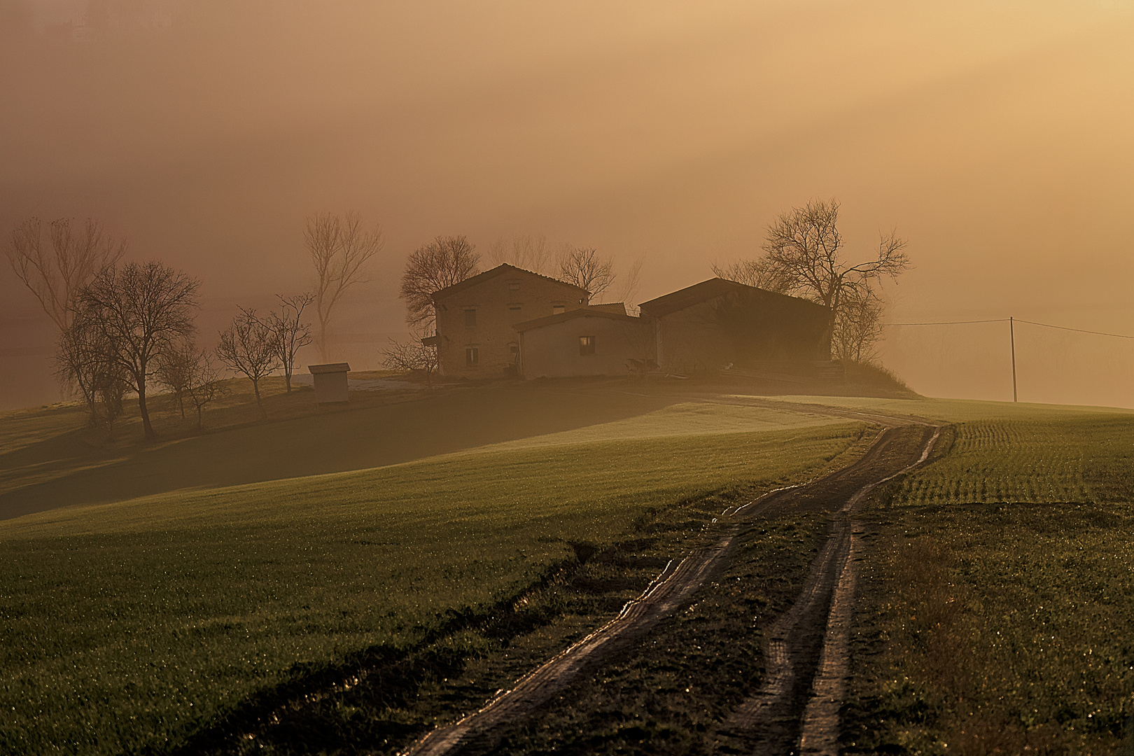 La nebbia al tramonto! Campagna Marchigiana