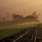 La nebbia al tramonto! Campagna Marchigiana