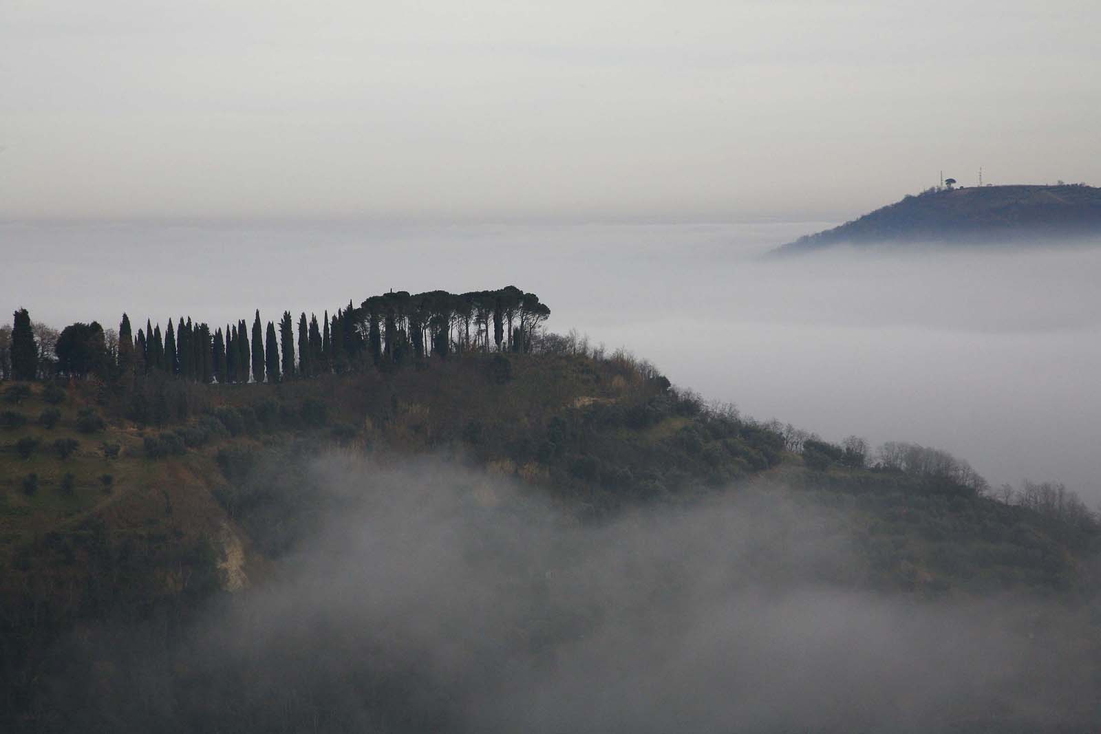 La nebbia avanza