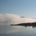 La nebbia che avanza