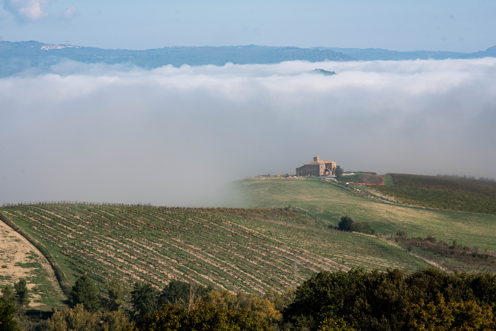 la nebbia del mattino