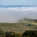 la nebbia del mattino