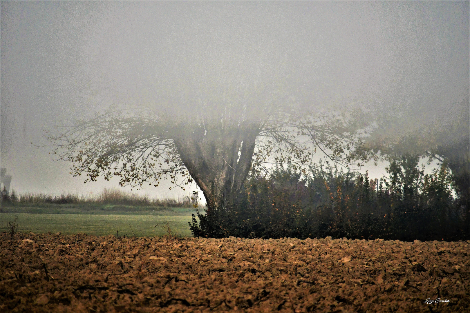 la nebbia è anche uno stato dell'anima...