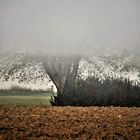 la nebbia è anche uno stato dell'anima...