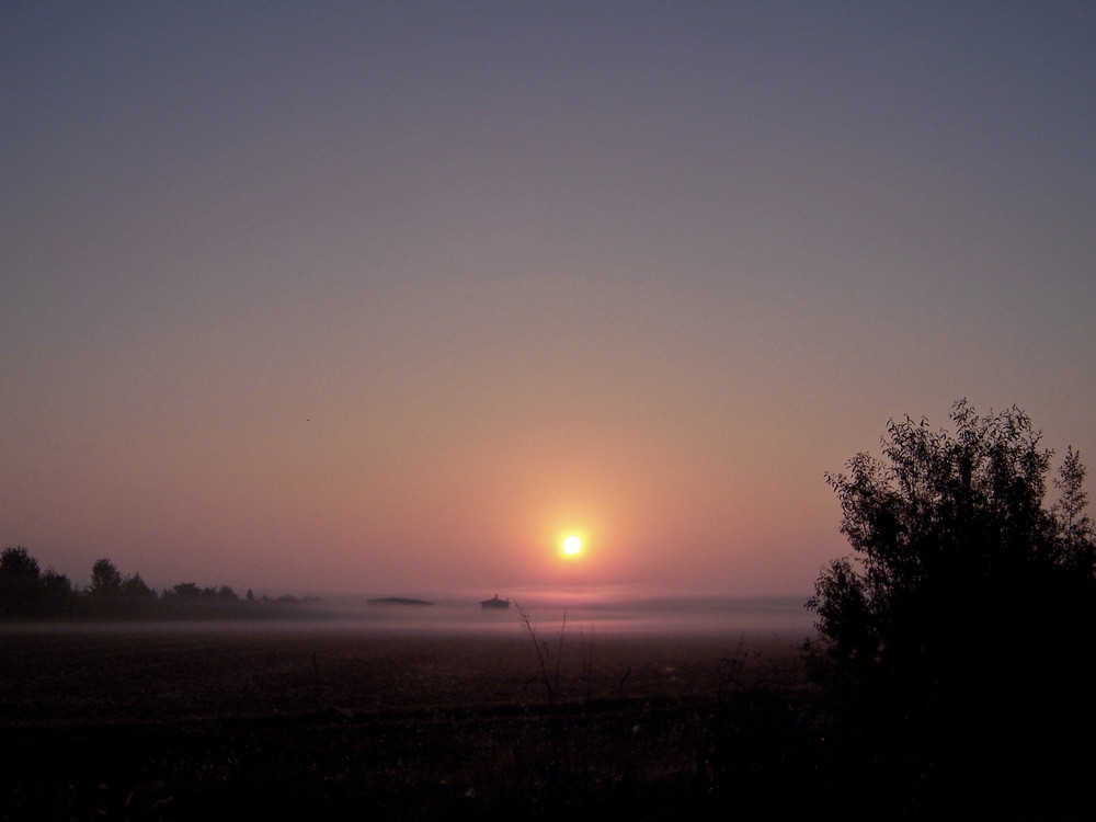 la nebbia e il suo risvolto poetico