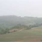 La nebbia