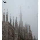 La nebbia , il duomo