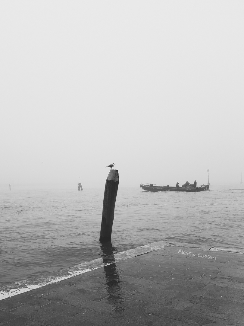 La nebbia in laguna Veneziana