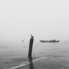 La nebbia in laguna Veneziana