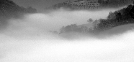 La nebbia...2008