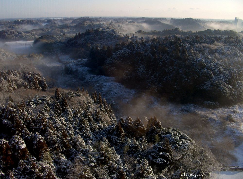 La neige à Narita au Japon