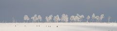 la neige dans les ardennes