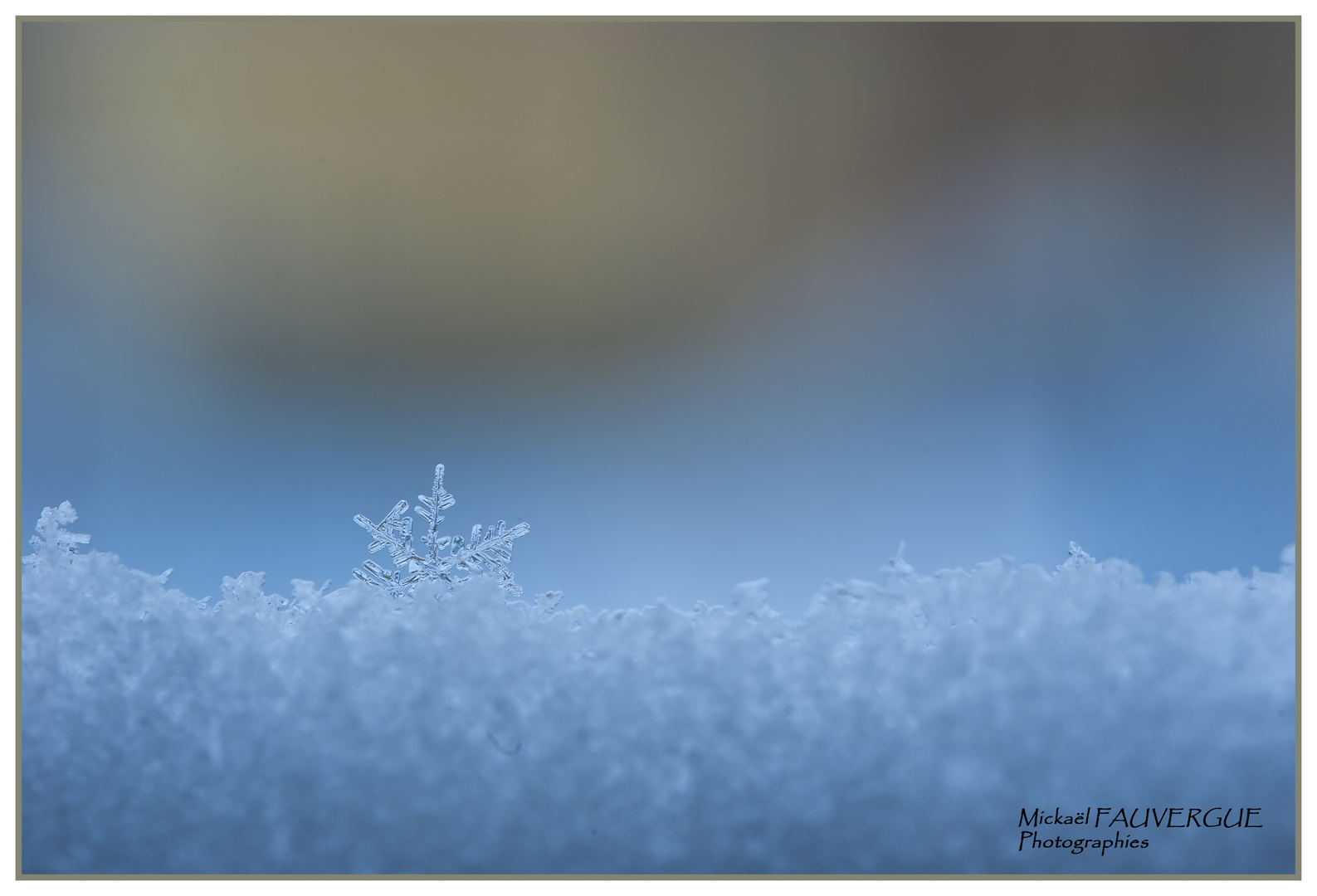 La neige en macro