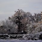 LA NEIGE EST ARRIVEE A PASSENANS