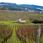 LA NEIGE EST TOMBE SUR LES HAUTEURS