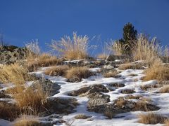 la neige et la lumiere