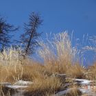 la neige et la lumiere