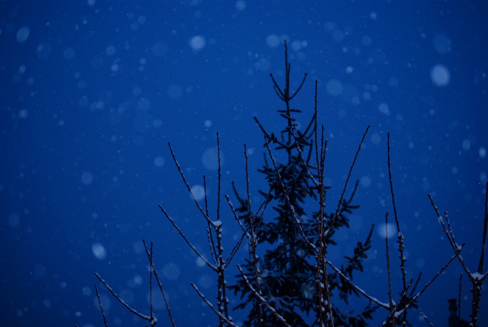 La neige et la nuit tombent ensemble