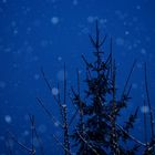 La neige et la nuit tombent ensemble