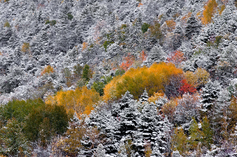 La neige et l'automne