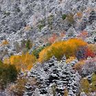 La neige et l'automne