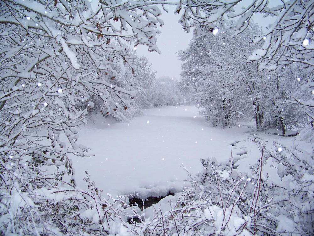 la neige tombe encore... photo et image les saisons, hiver, nature Images