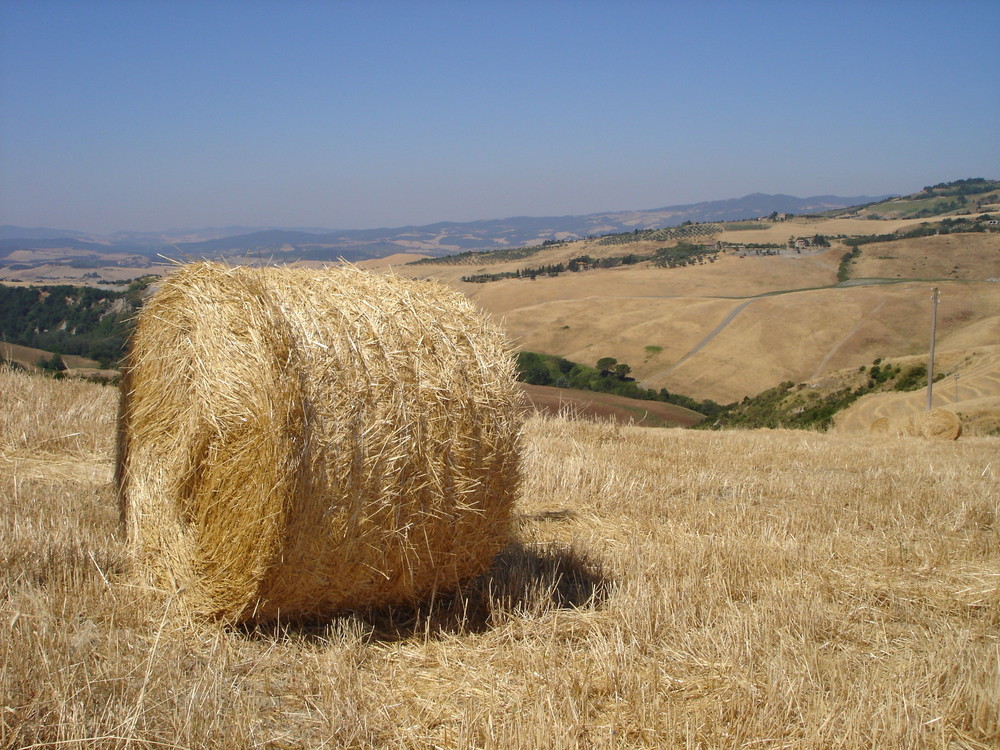 Là nella prateria