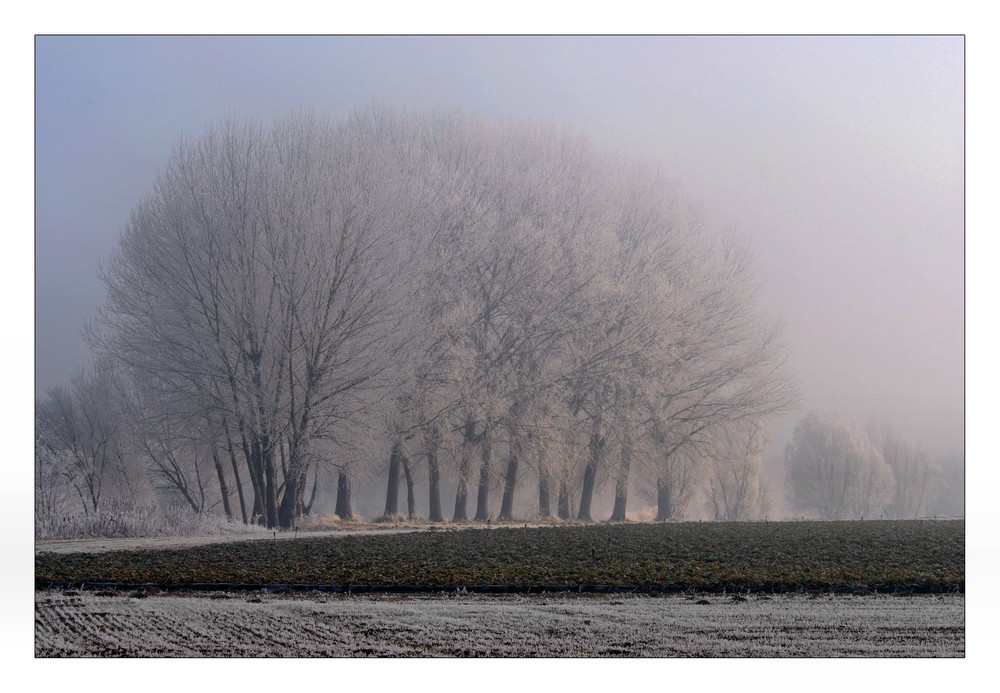 la nella valle......