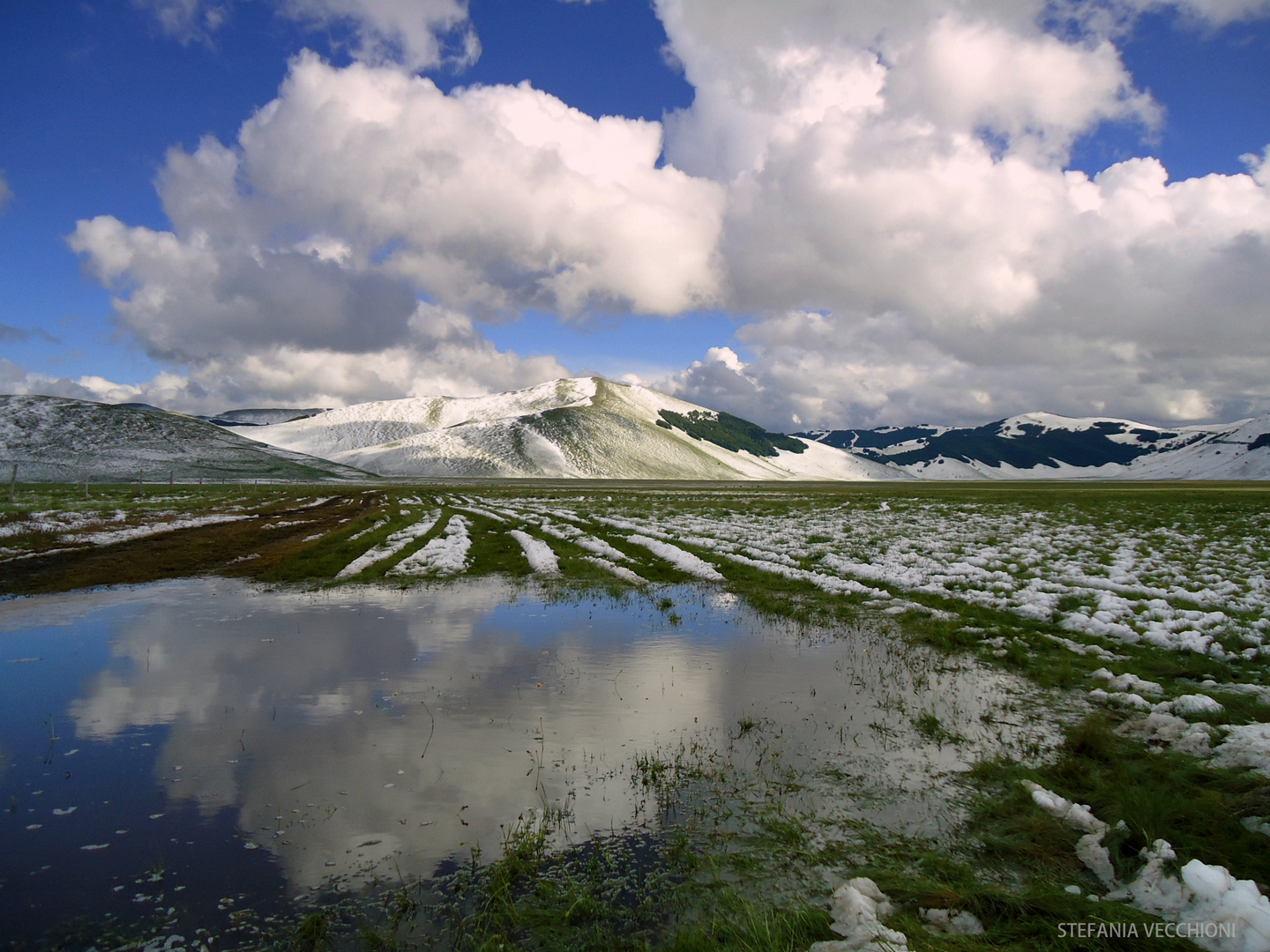 La neve calda della Primavera