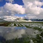 La neve calda della Primavera