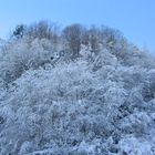 la neve... che spettacolo della natura....