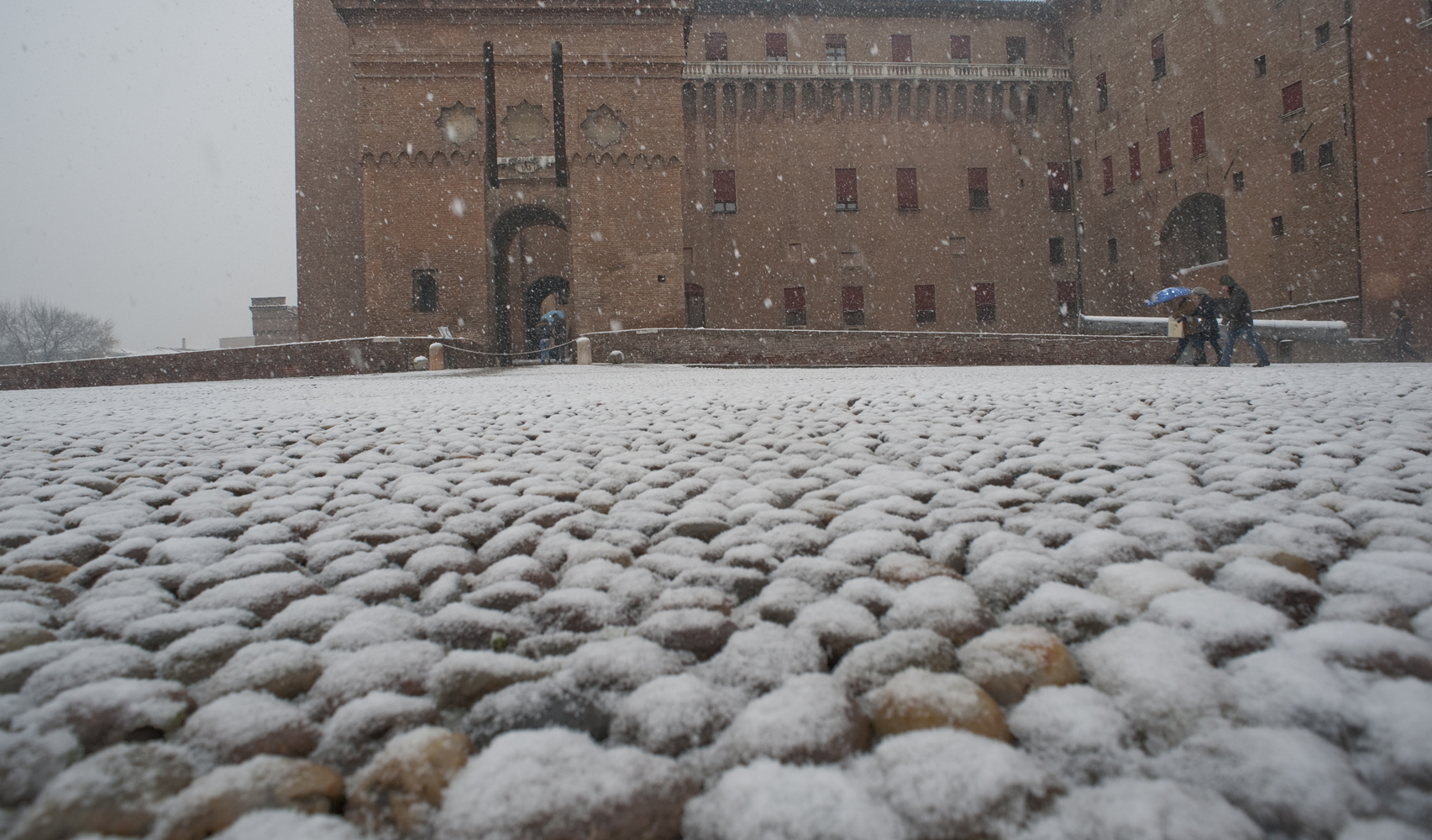 La neve dal basso