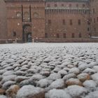 La neve dal basso