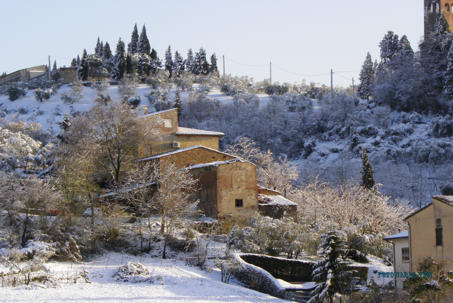 LA NEVE DALLA MIA FINESTRA N 3