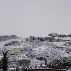 LA NEVE DALLA MIA FINESTRA N1