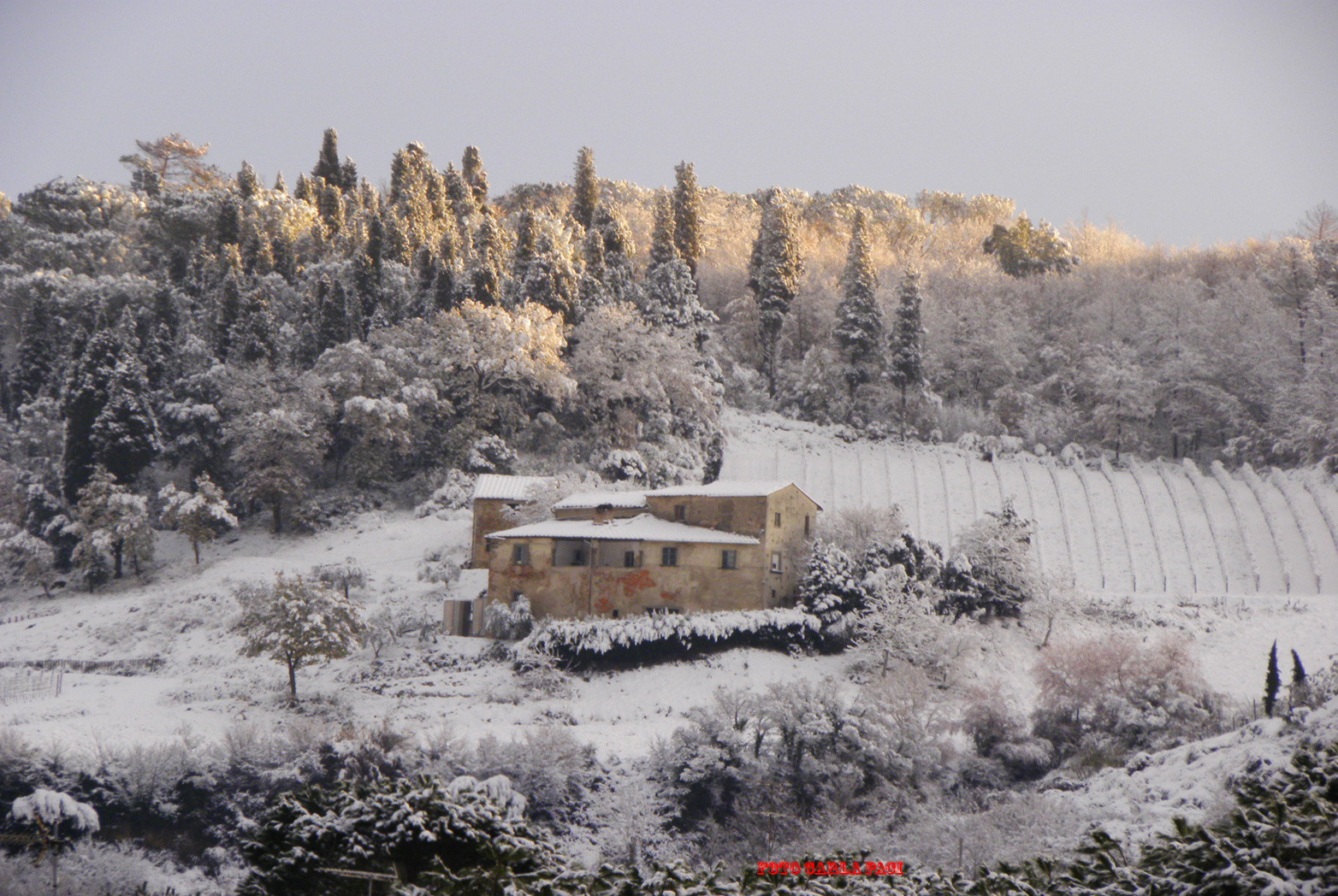 LA NEVE DALLA MIA FINESTRA N2