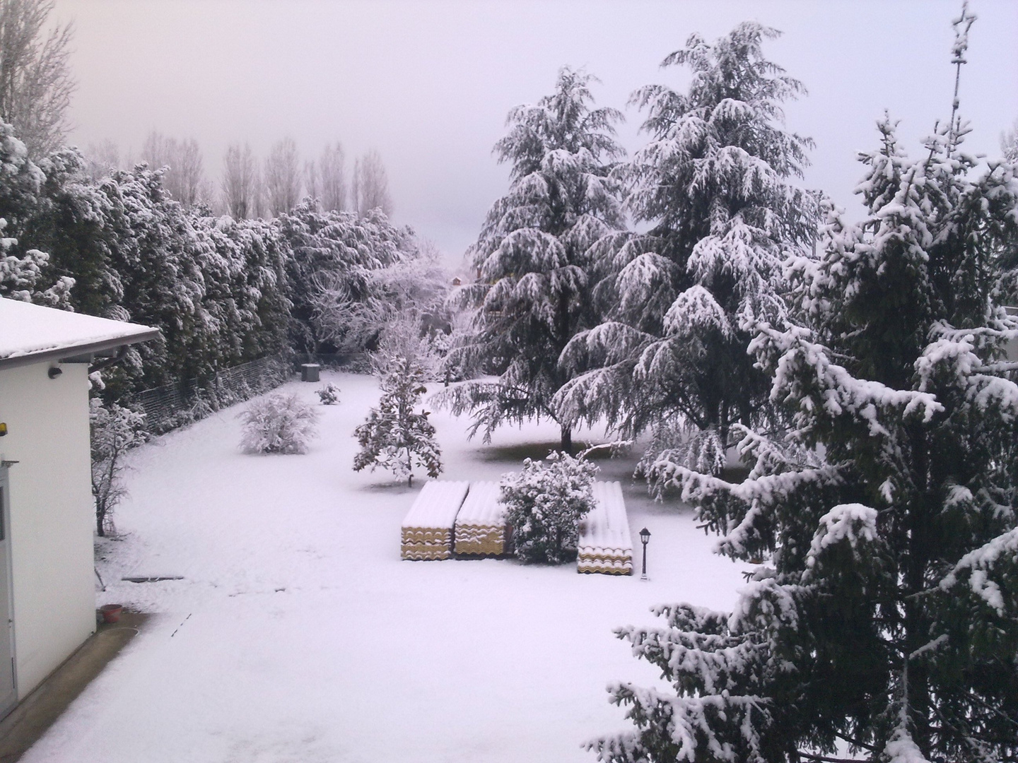 La neve di casa mia...