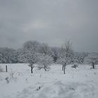 la neve è arrivata anche quaggiù....