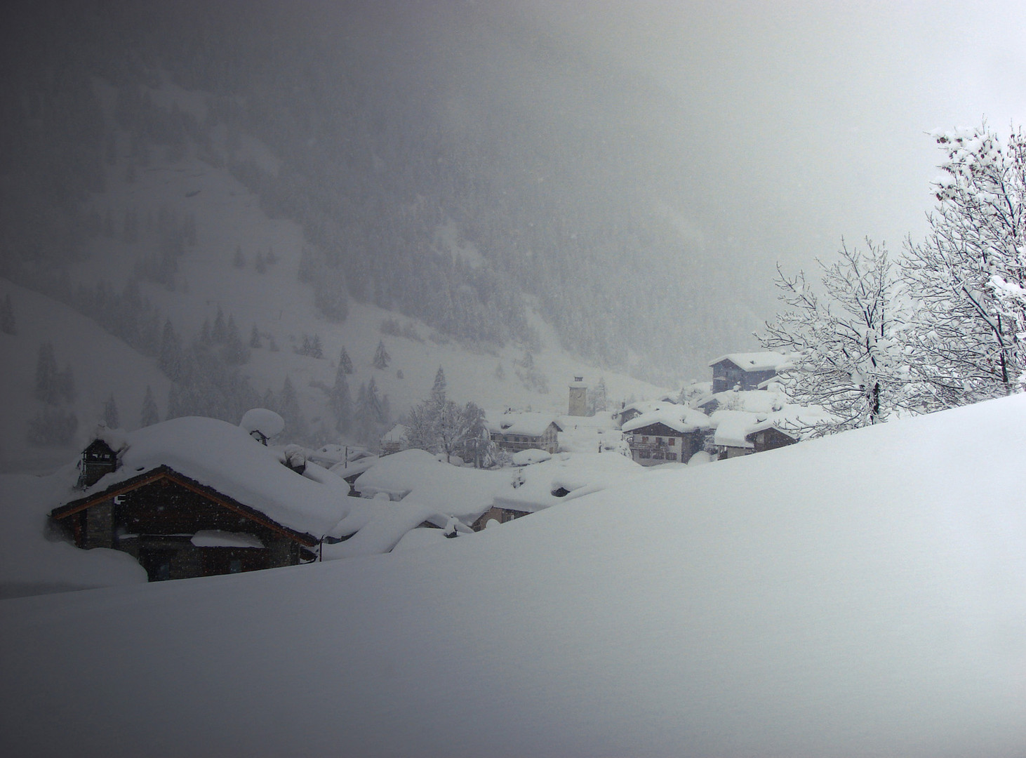 LA NEVE E IL SUO SILENZI0