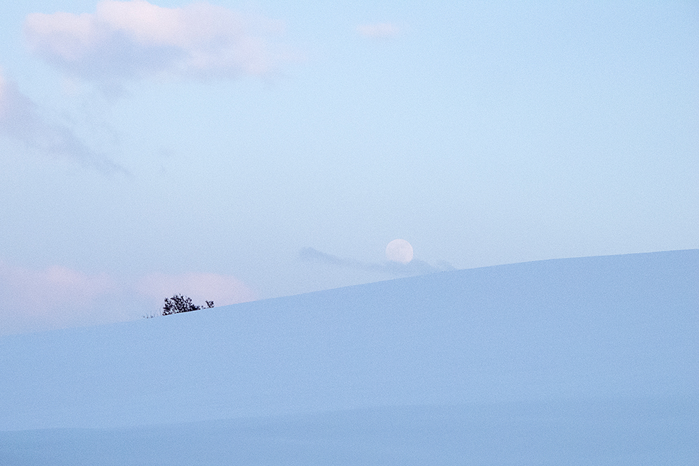 la neve e la luna