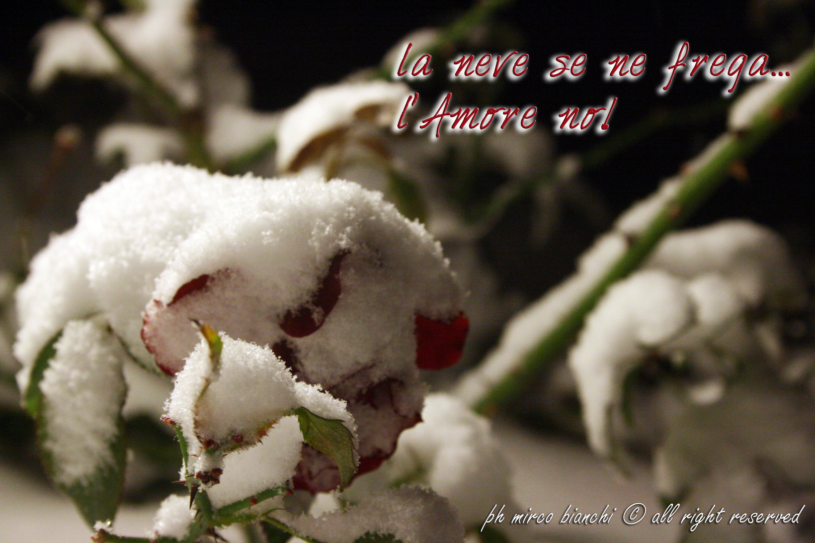 la neve se ne frega... l'Amore no!