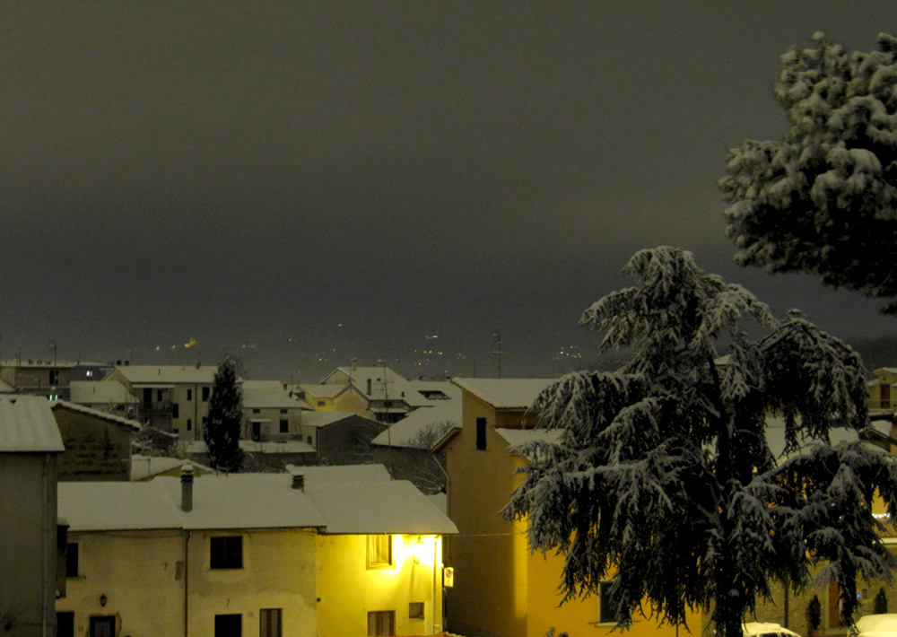 La nevicata del dicembre 2010 ...