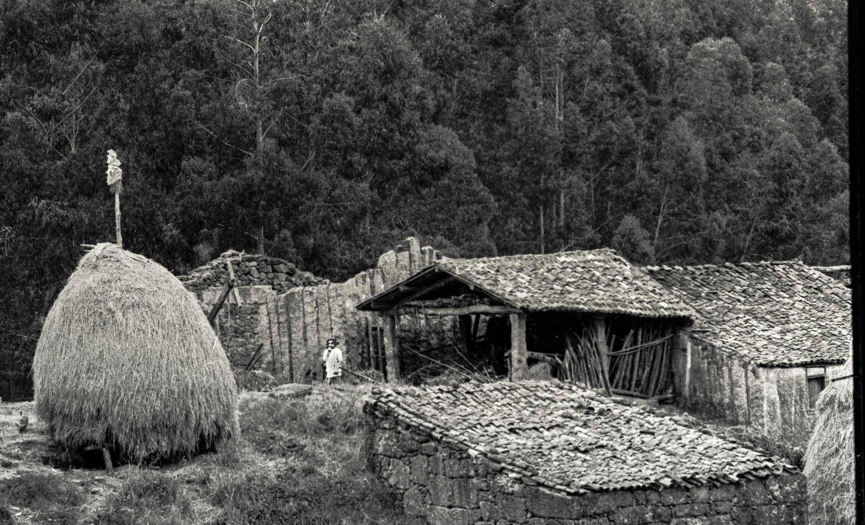 LA NIÑA