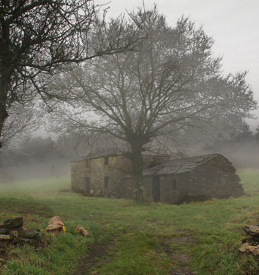 La niebla