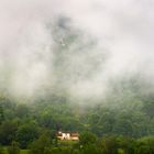 La Niebla.