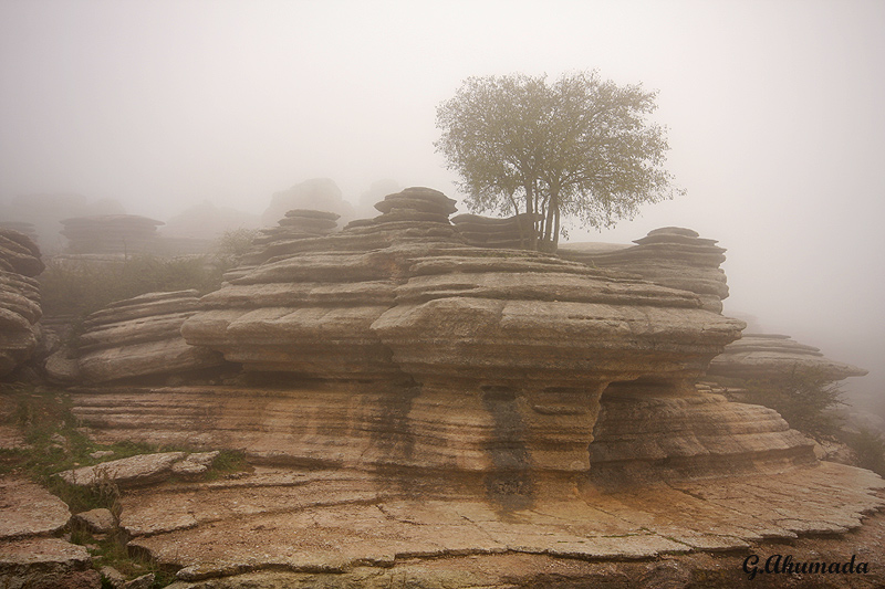 La Niebla