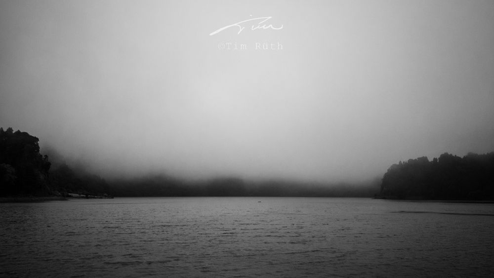 La niebla del olvido...