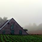 La niebla y el labrador